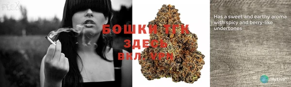 гашиш Касимов