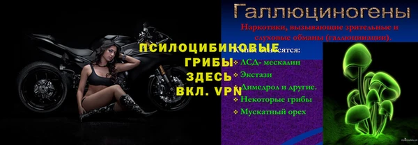 гашиш Касимов