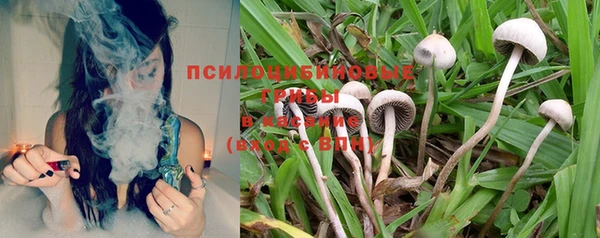 гашиш Касимов