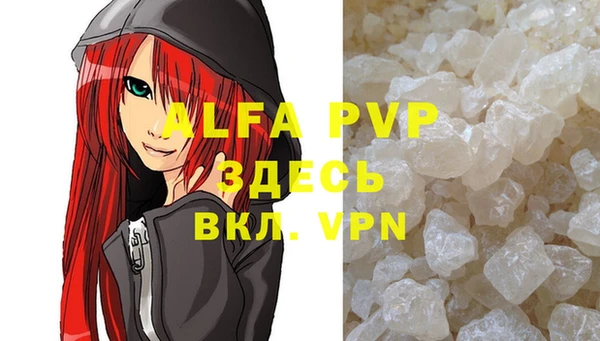 прущие грибы Киренск