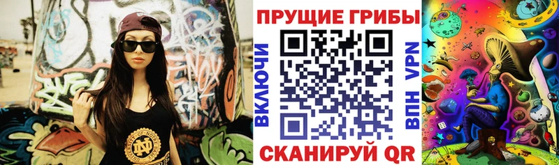 Купить где  Дно  Галлюциногенные грибы Cubensis 